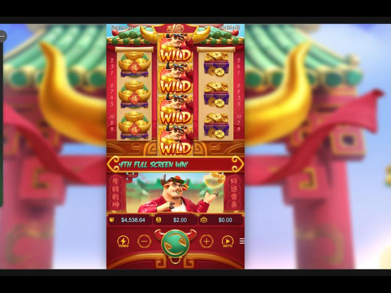 Bahis Ayarları ve Arayüz