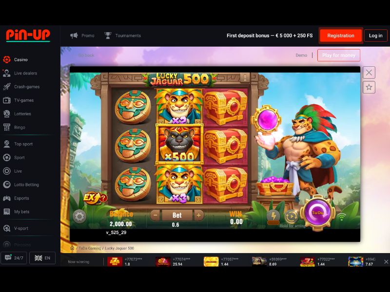 Pin-Up platformuna genel bakış