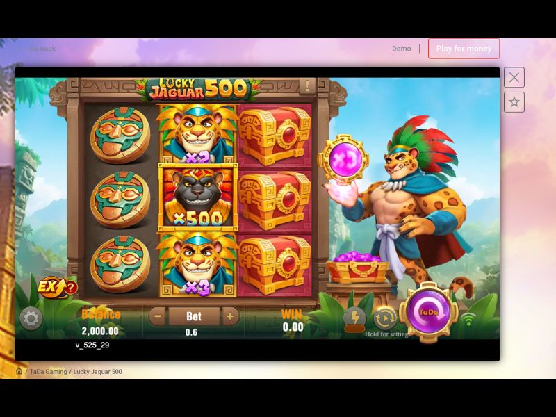 Jaguar 500 Hakkında Sık Sorulan Sorular